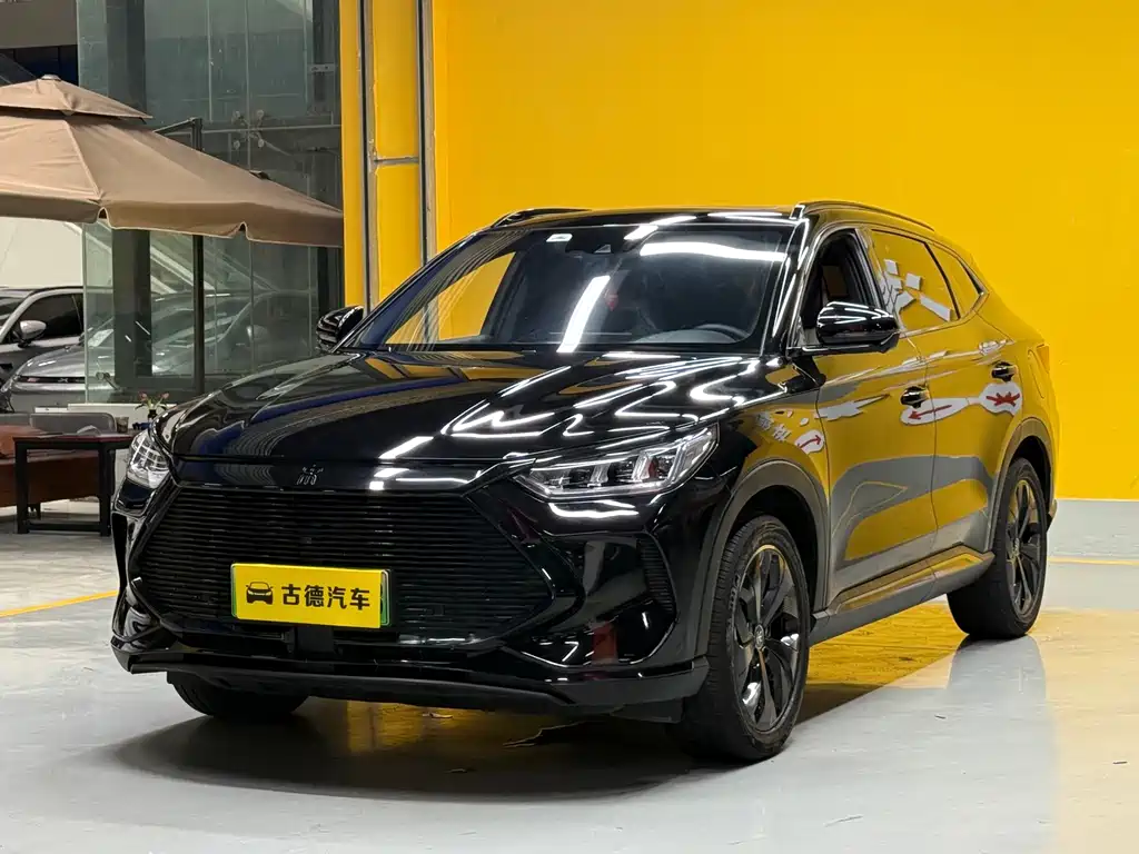BYD PLUS New Energy 2022
