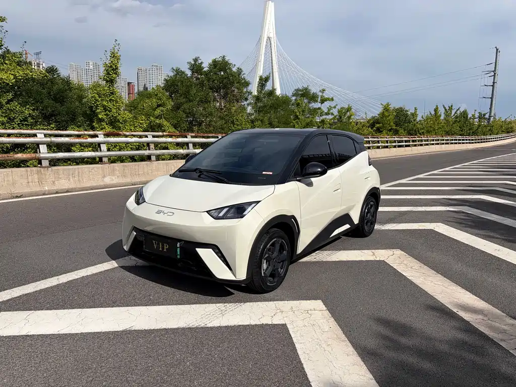 BYD Seagull 2023