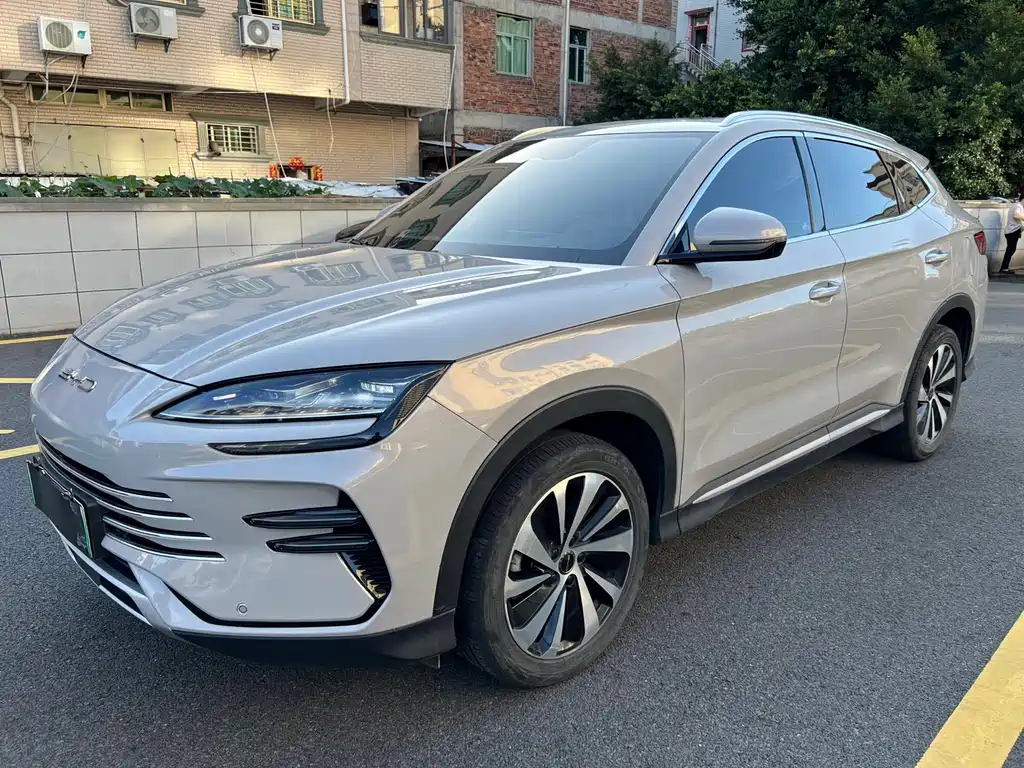 BYD PLUS New Energy 2024
