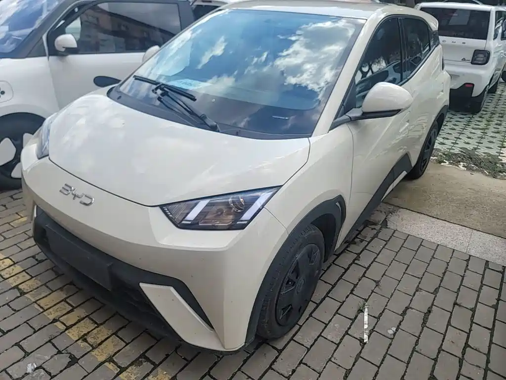 BYD Seagull 2024