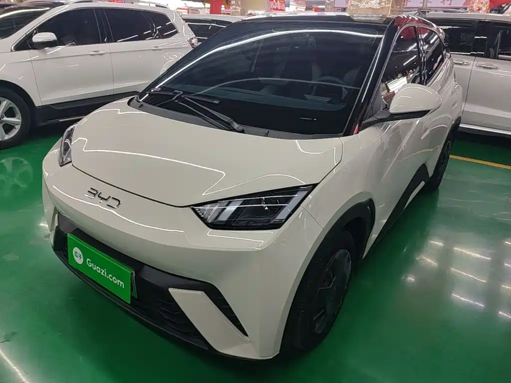 BYD Seagull 2024