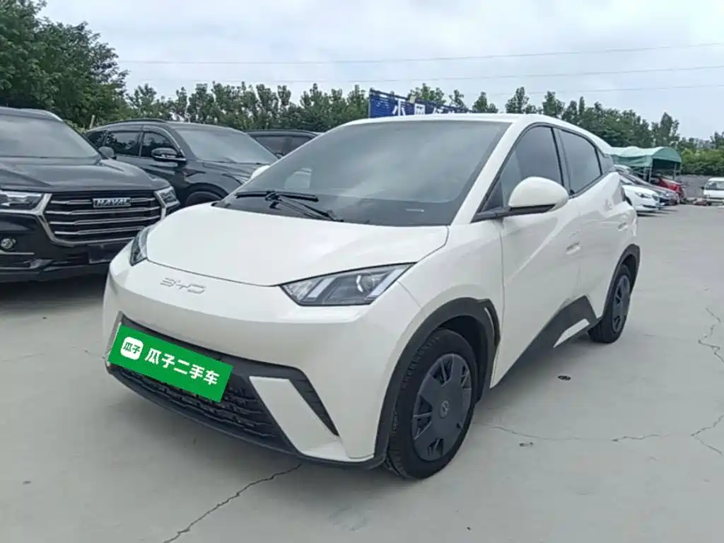 BYD Seagull 2024