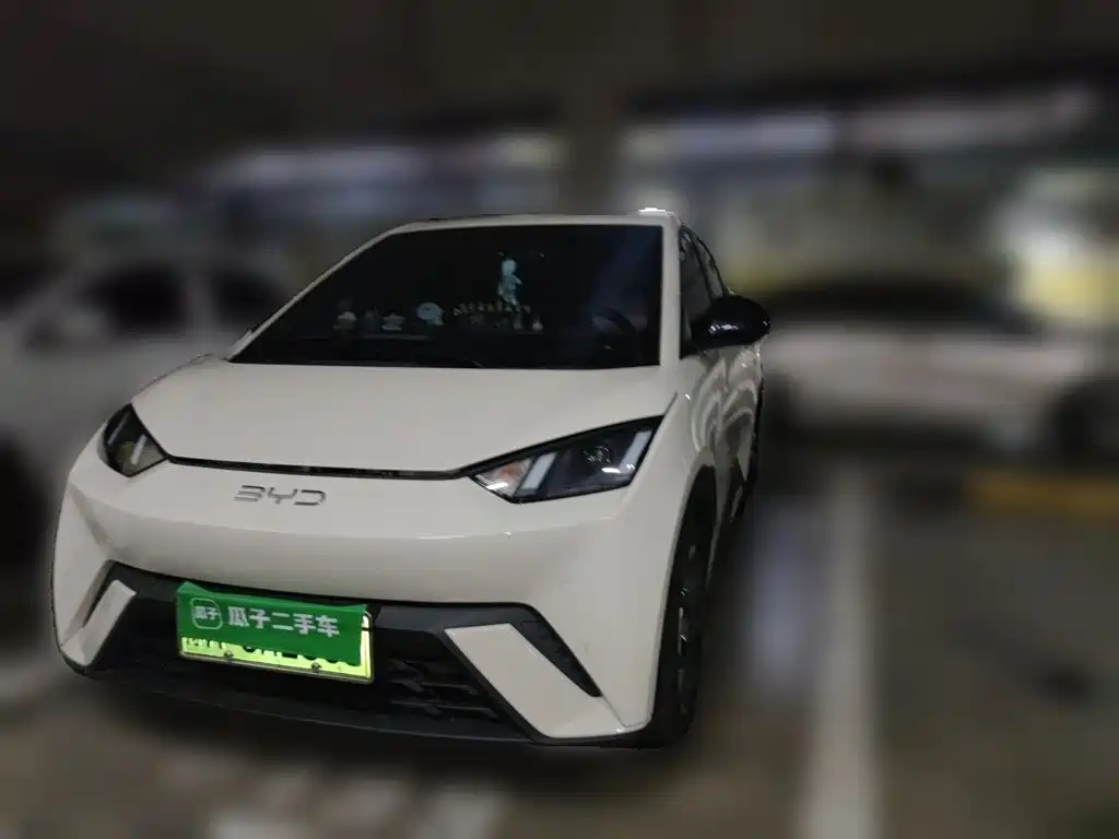 BYD Seagull 2024