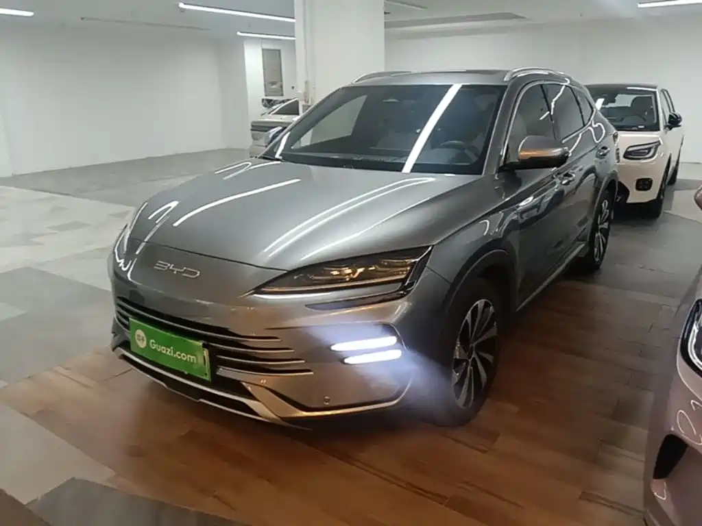 BYD PLUS New Energy 2024