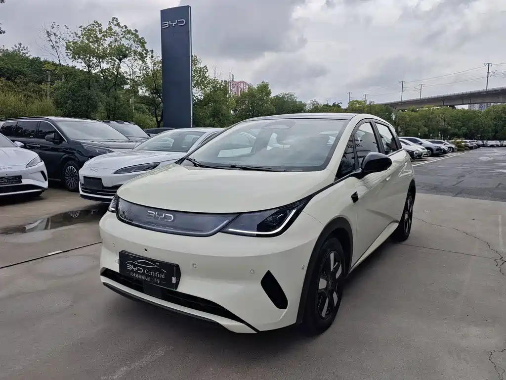BYD Dolphin 2025