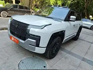 YangWang Yangwang U8 2024