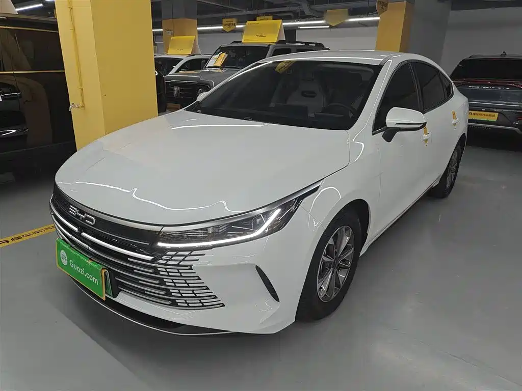BYD Destroyer 05 2024