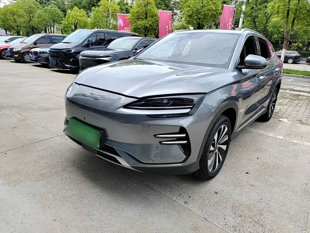 BYD PLUS New Energy 2024