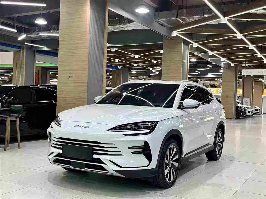 BYD PLUS New Energy 2024