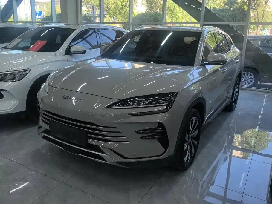 BYD PLUS New Energy 2024