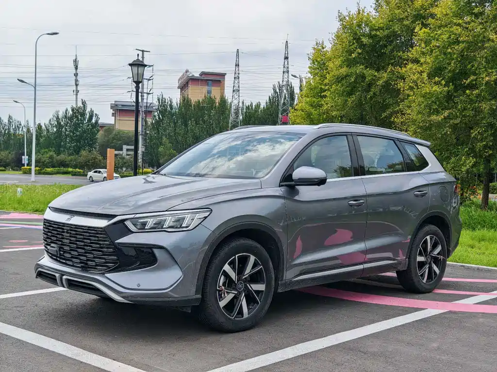 BYD Pro New Energy 2024