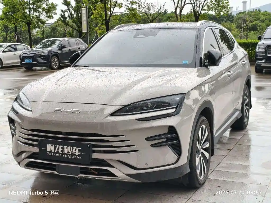 BYD PLUS New Energy 2024