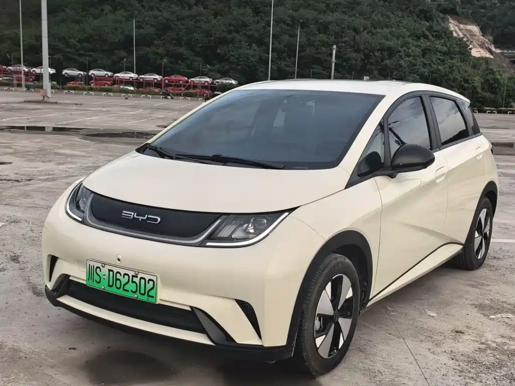 BYD Dolphin 2024