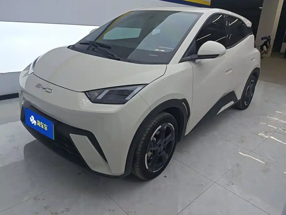 BYD Seagull 2024