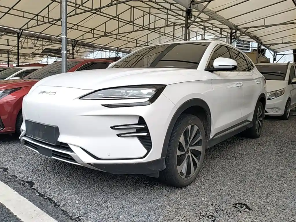 BYD PLUS New Energy 2024