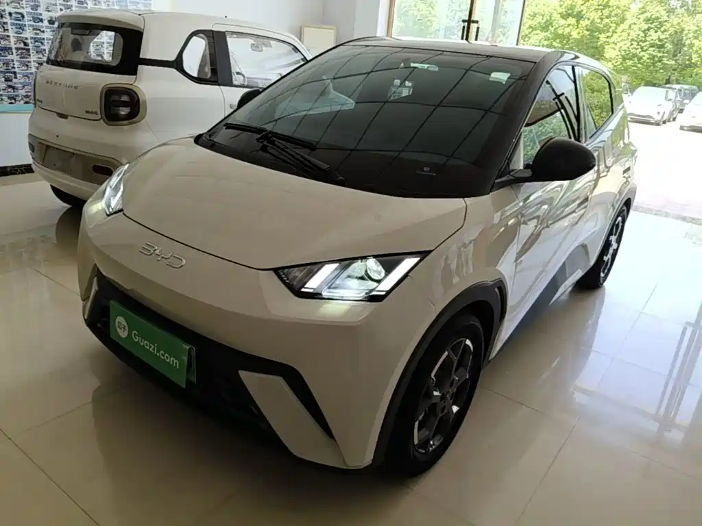 BYD Seagull 2024