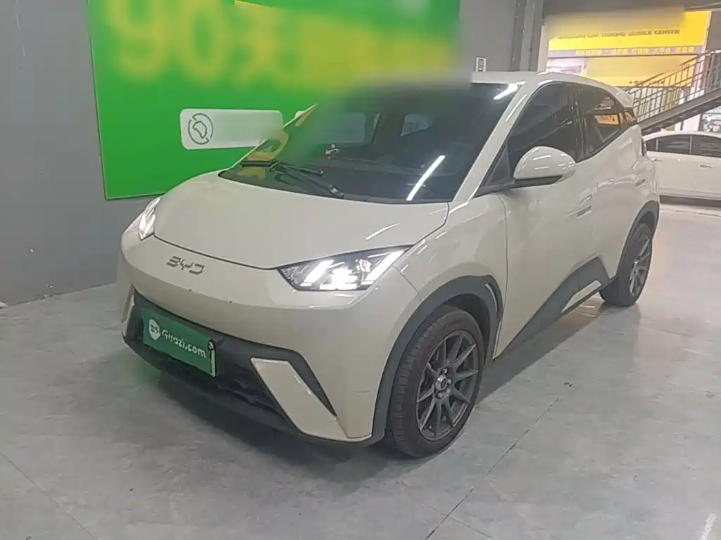 BYD Seagull 2024