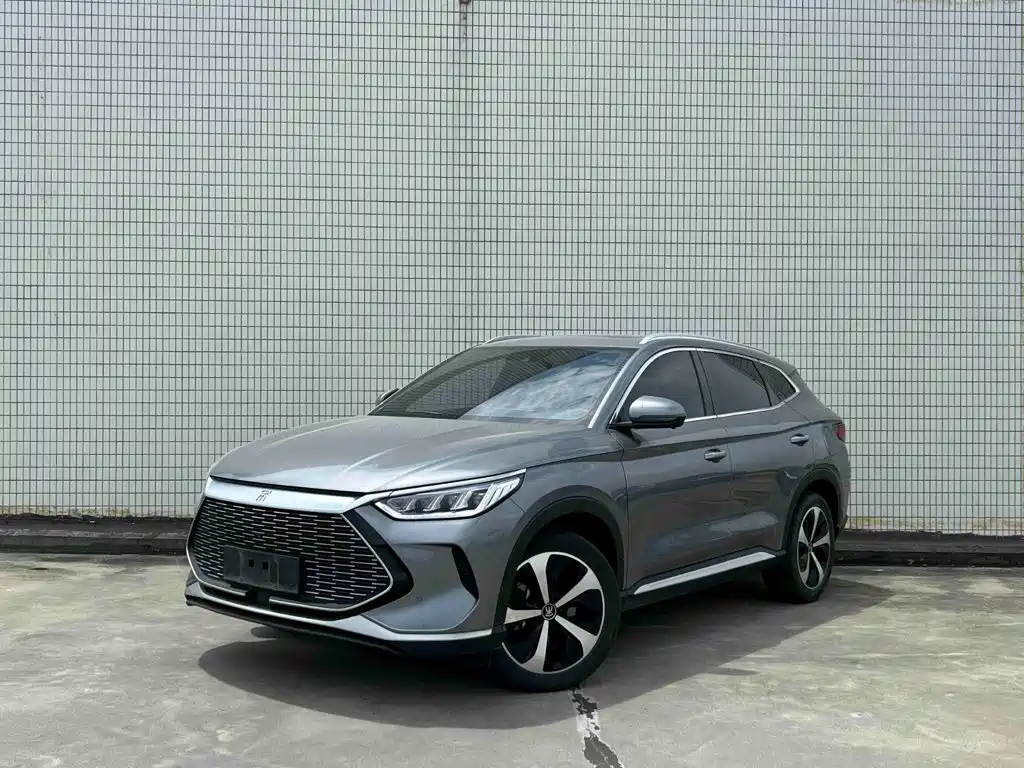 BYD PLUS New Energy 2021