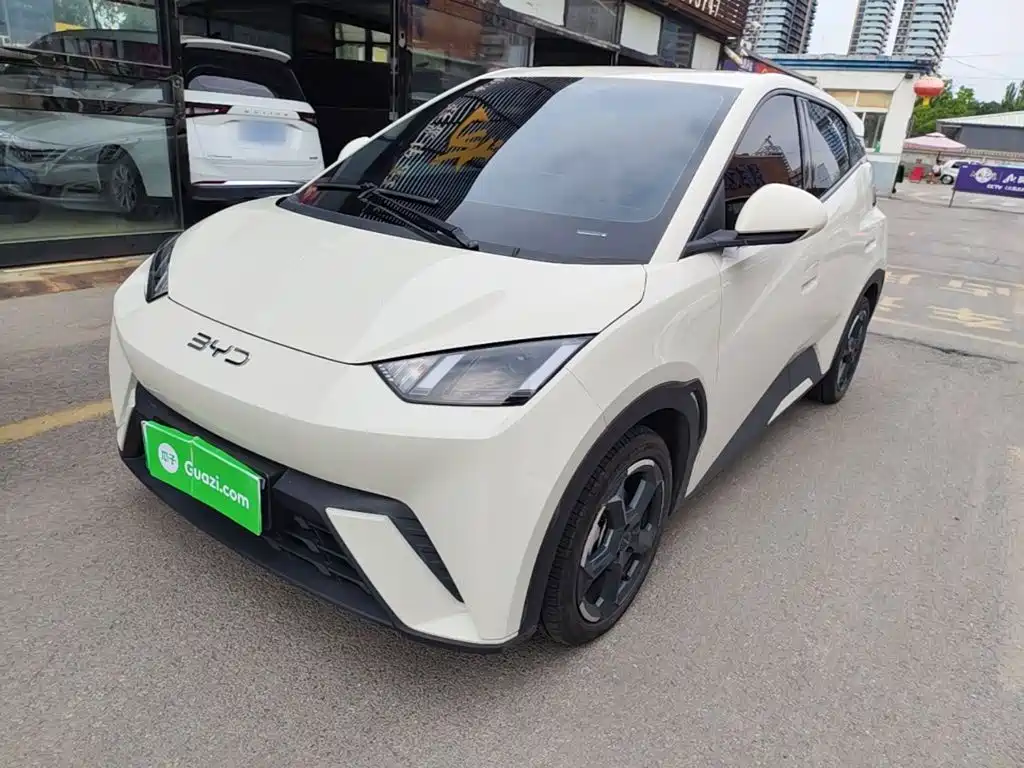 BYD Seagull 2024