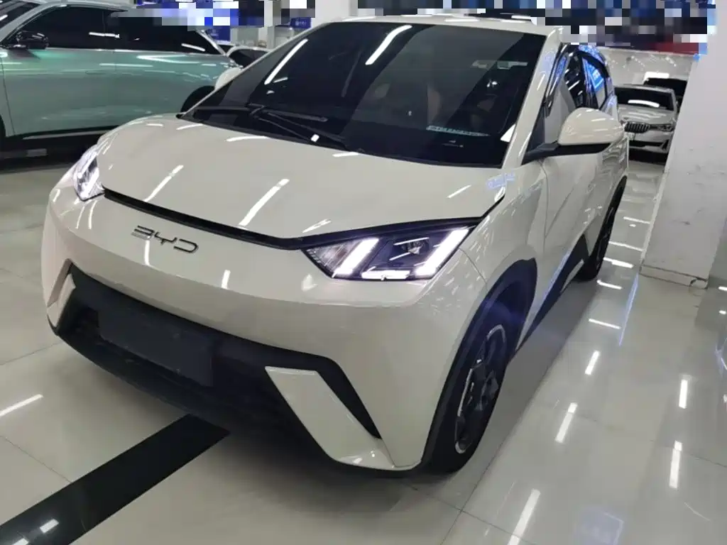 BYD Seagull 2024