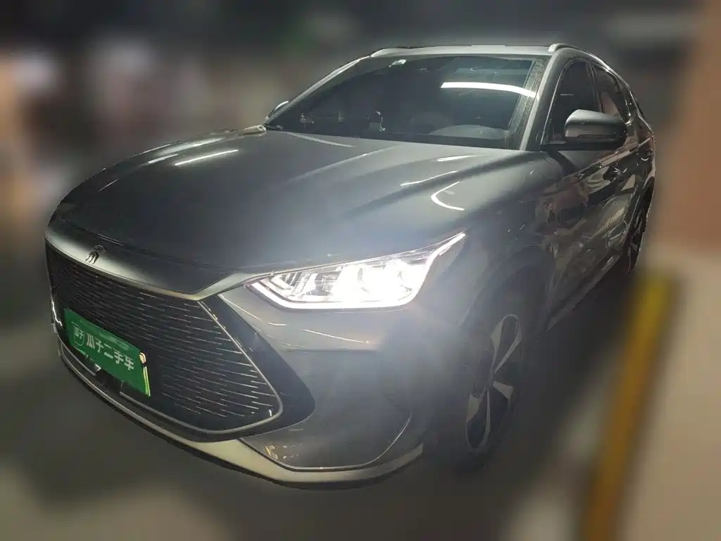 BYD PLUS New Energy 2022