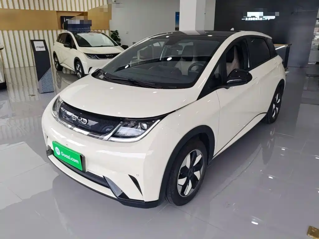 BYD Dolphin 2024