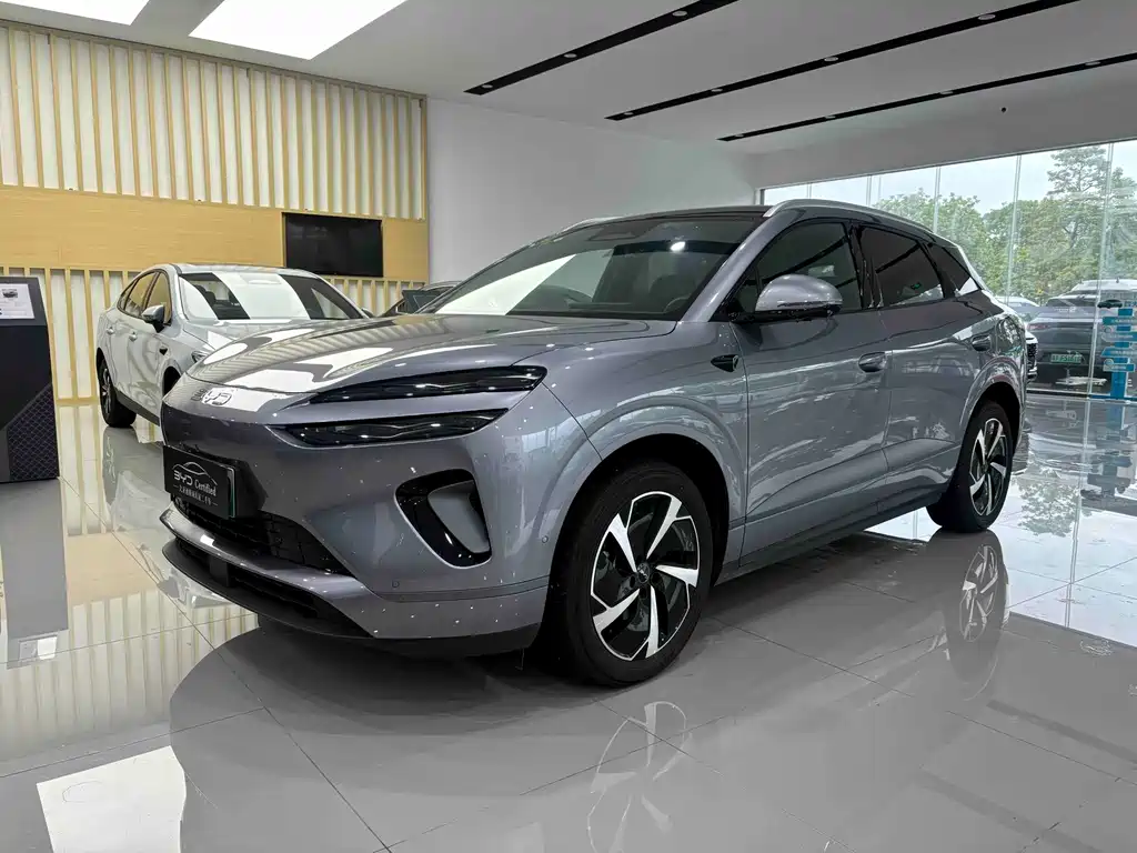BYD 海狮06 2025