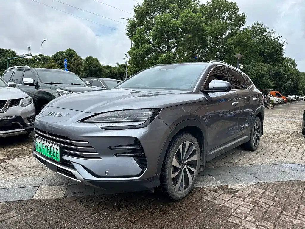 BYD PLUS New Energy 2024
