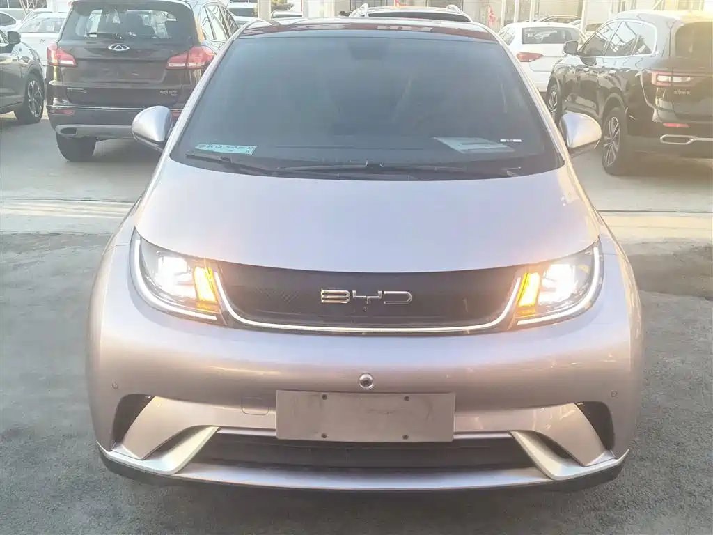 BYD Dolphin 2024