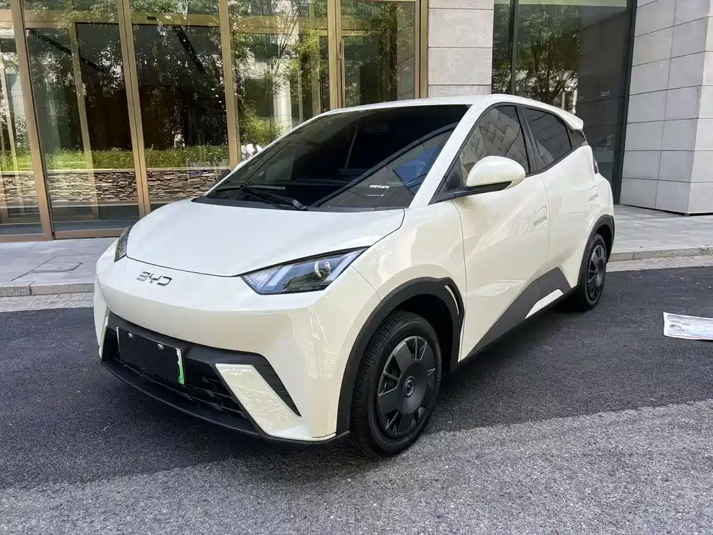 BYD Seagull 2024