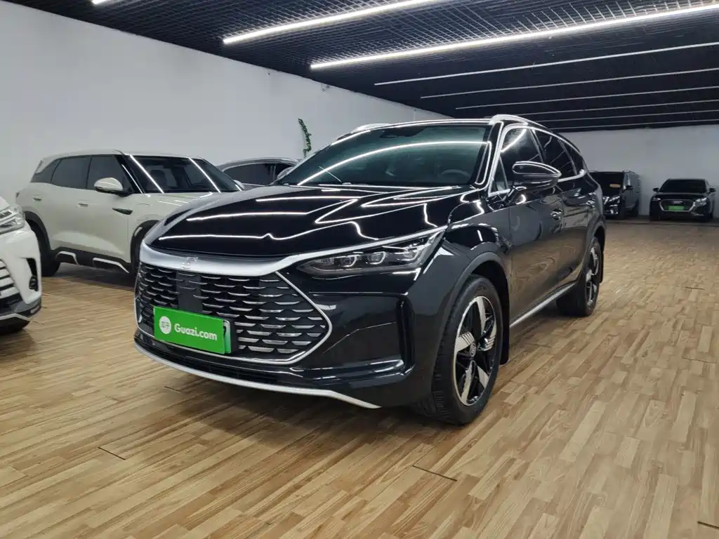 BYD Tang New Energy 2024