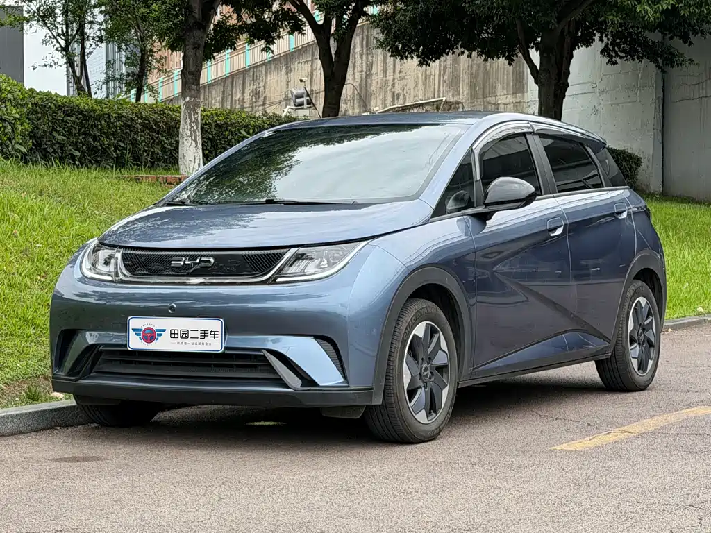 BYD Dolphin 2024