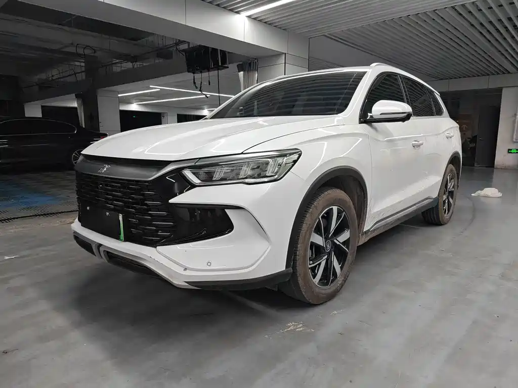 BYD Pro New Energy 2024