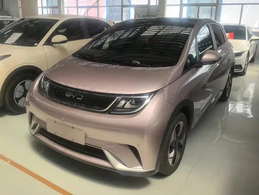 BYD Dolphin 2024