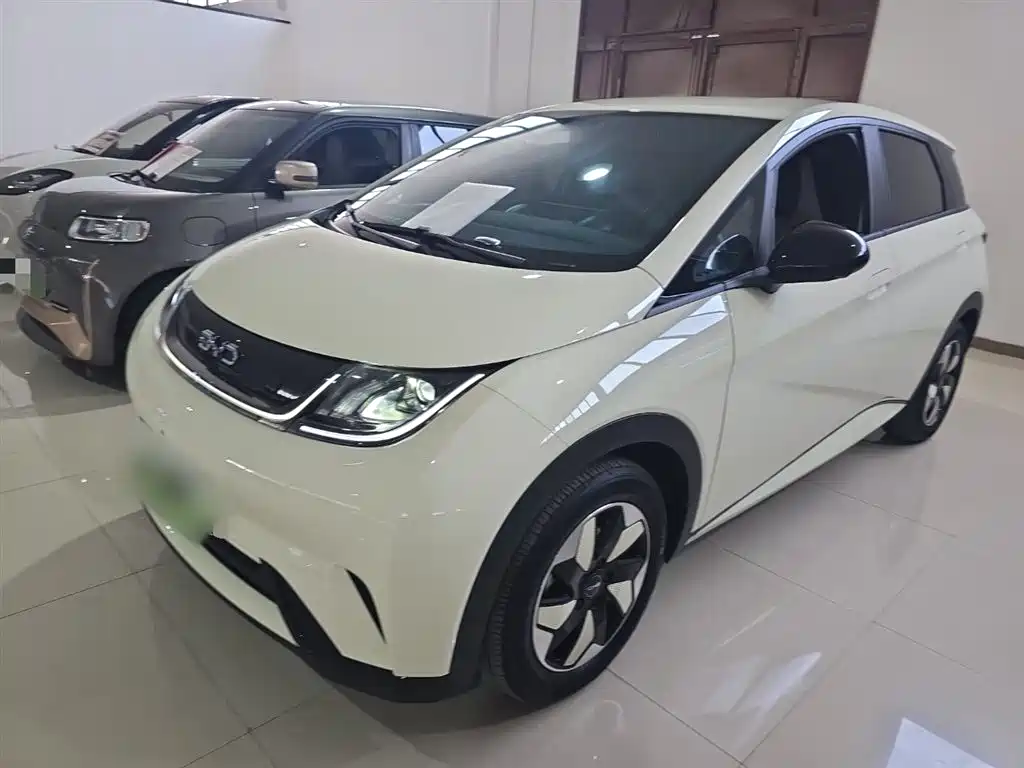 BYD Dolphin 2025