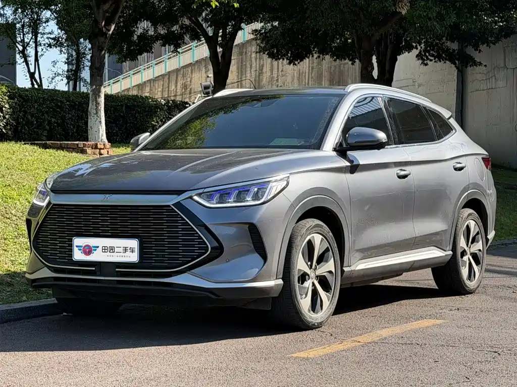 BYD PLUS New Energy 2022