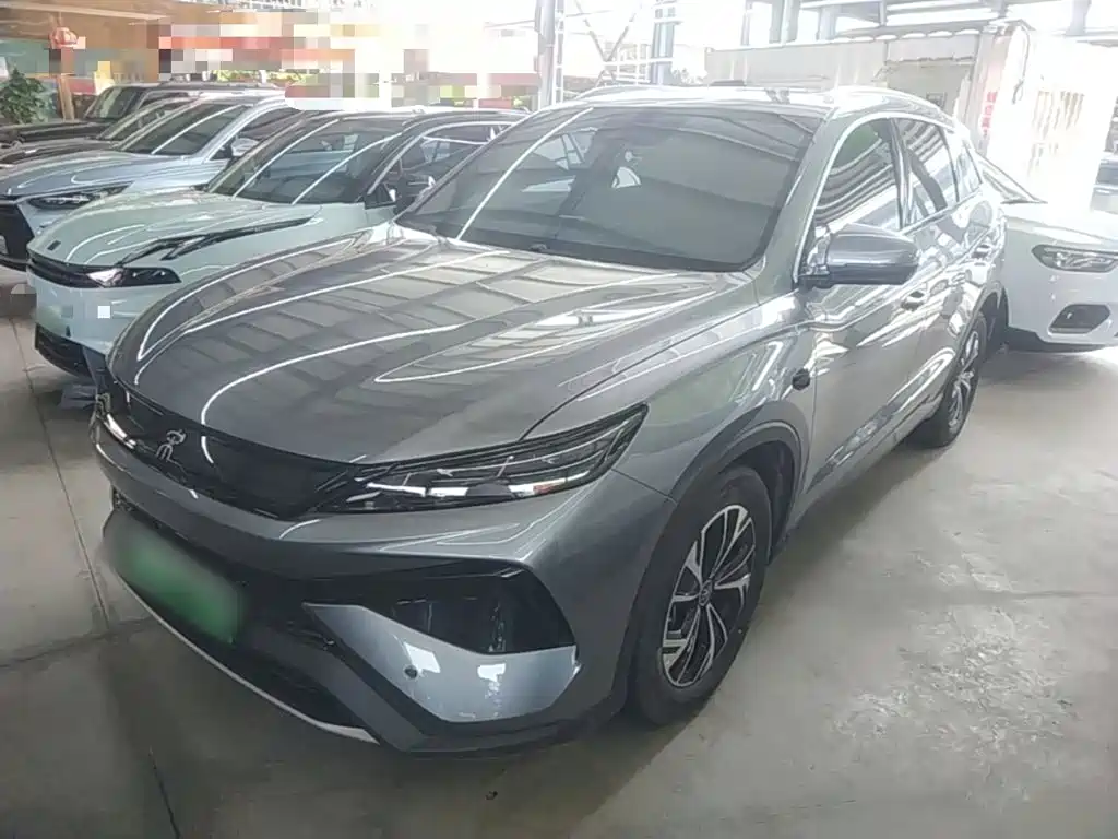 BYD Pro New Energy 2025