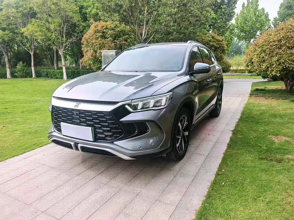 BYD Pro New Energy 2024