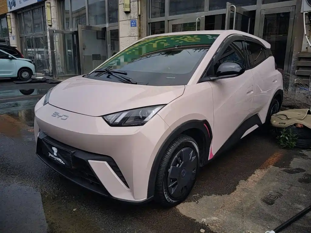 BYD Seagull 2024
