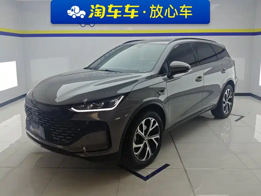 BYD Tang New Energy 2025