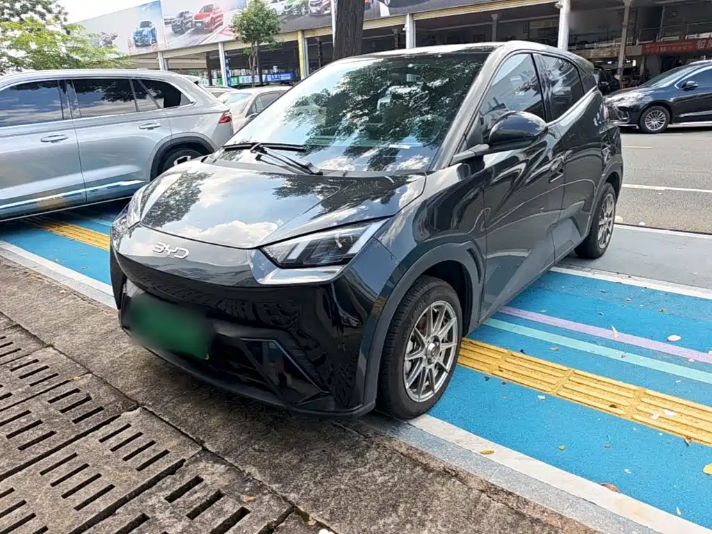 BYD Seagull 2024