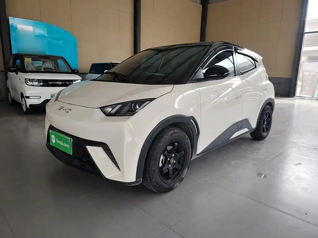 BYD Seagull 2024