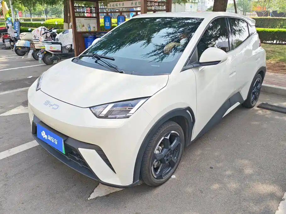 BYD Seagull 2024
