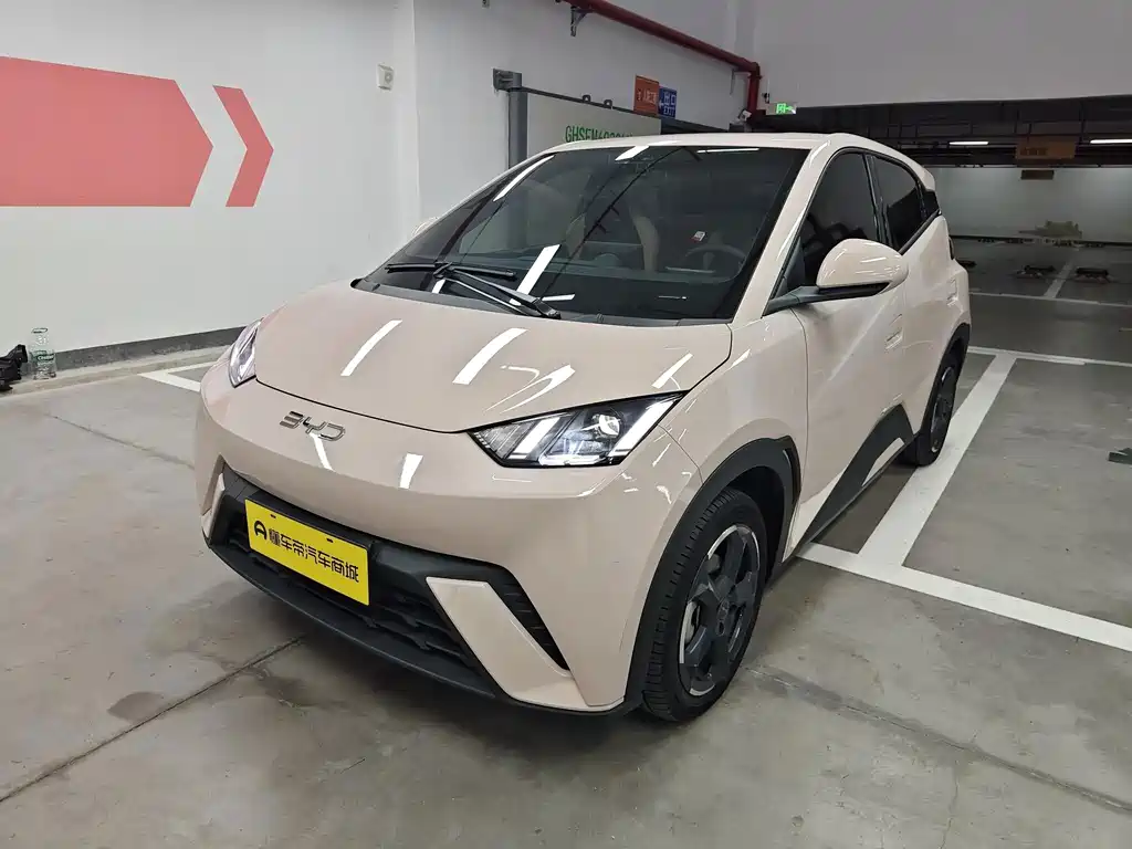 BYD Seagull 2024