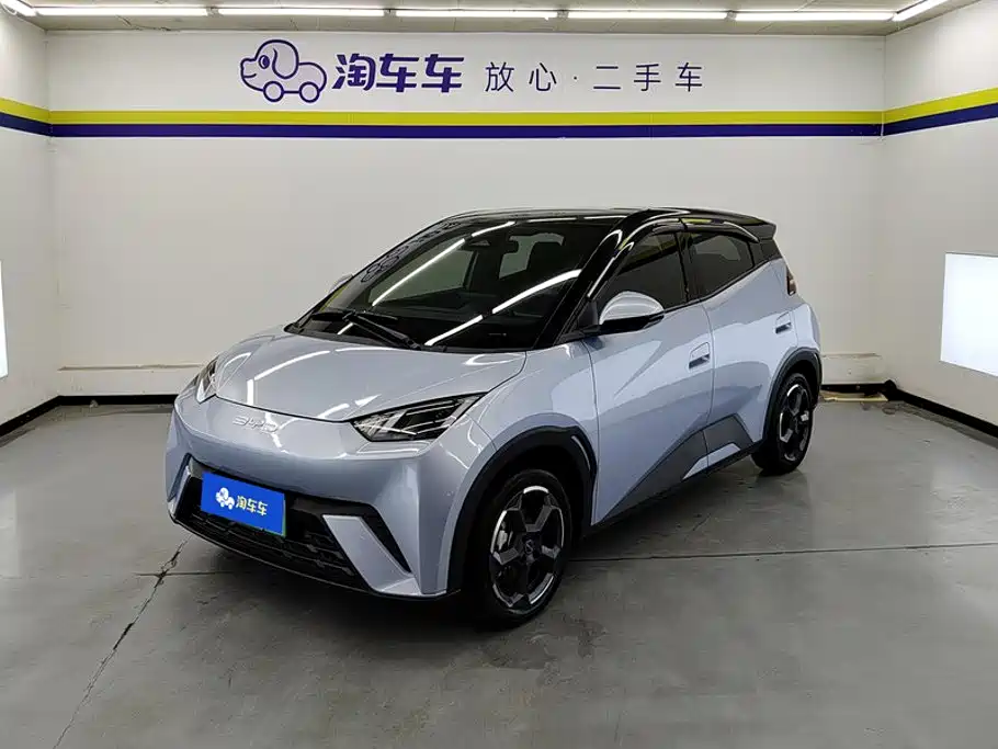 BYD Seagull 2024
