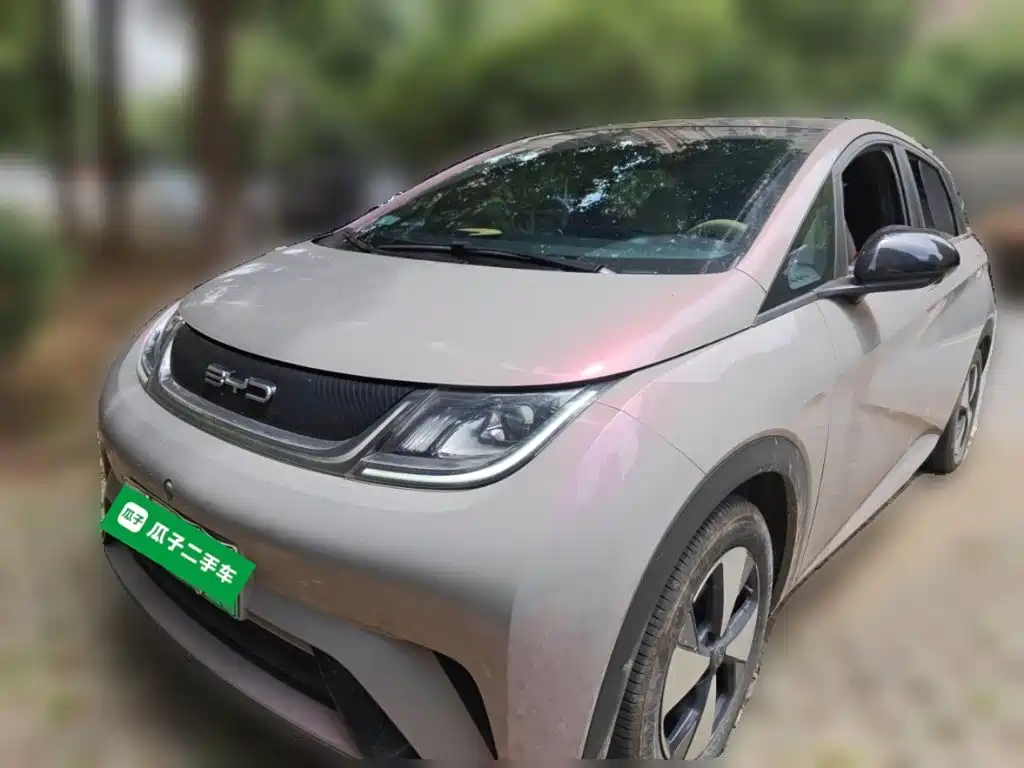 BYD Dolphin 2024