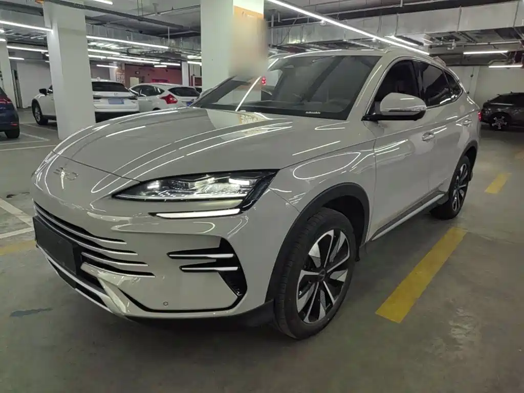 BYD PLUS New Energy 2024