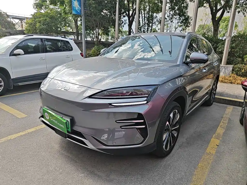 BYD PLUS New Energy 2024