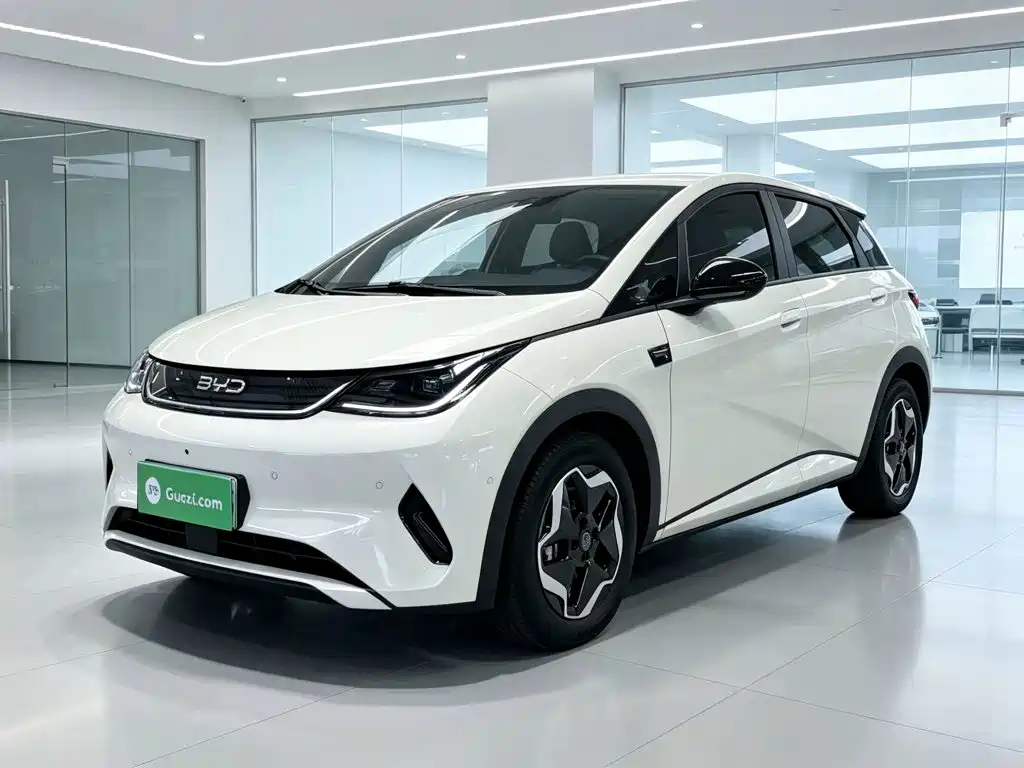 BYD Dolphin 2025