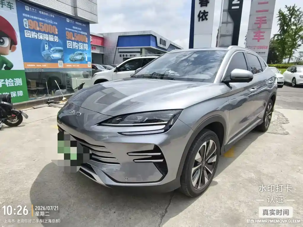 BYD PLUS New Energy 2024